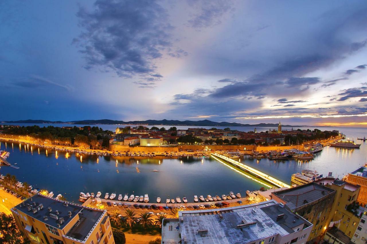 Agava * Zadar